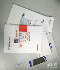 乐清样本画册设计印刷 乐清柳市宣传册 单张 说明书